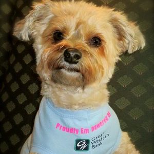 Great Western Barkers